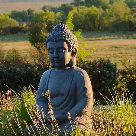 Bed & Breakfast La Bastide De Sigalas 3*